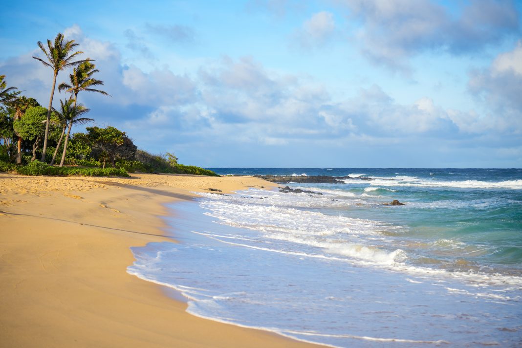 © Shutterstock