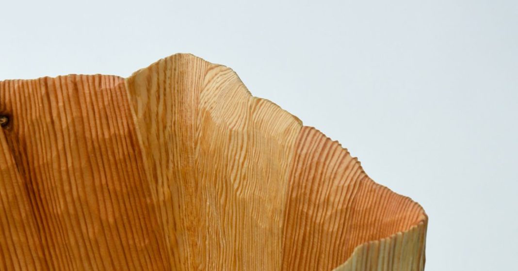 Pleats Vase No.15_The nature of wood_HR©2025_Didi NG Wing Yin-5