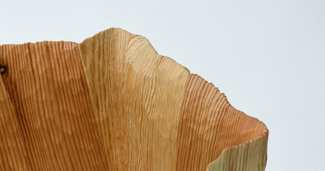 Pleats Vase No.15_The nature of wood_HR©2025_Didi NG Wing Yin-5