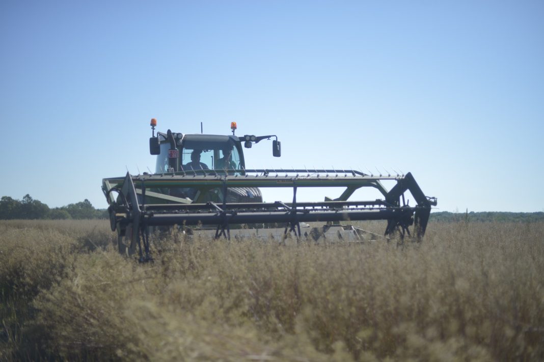 ©DR / Farm for Good