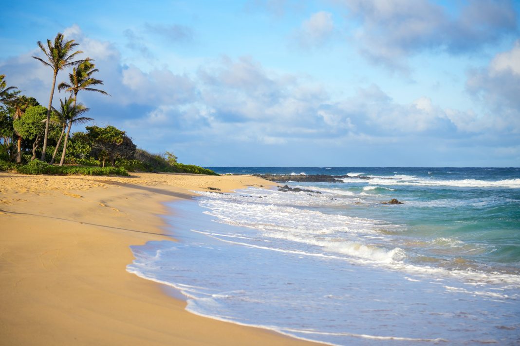 © Shutterstock