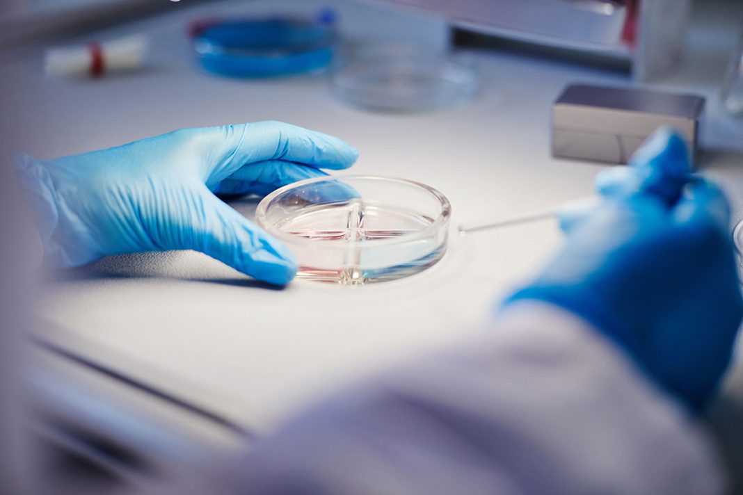 Een student doet toevallig een ontdekking die de natuurkunde kan opschudden