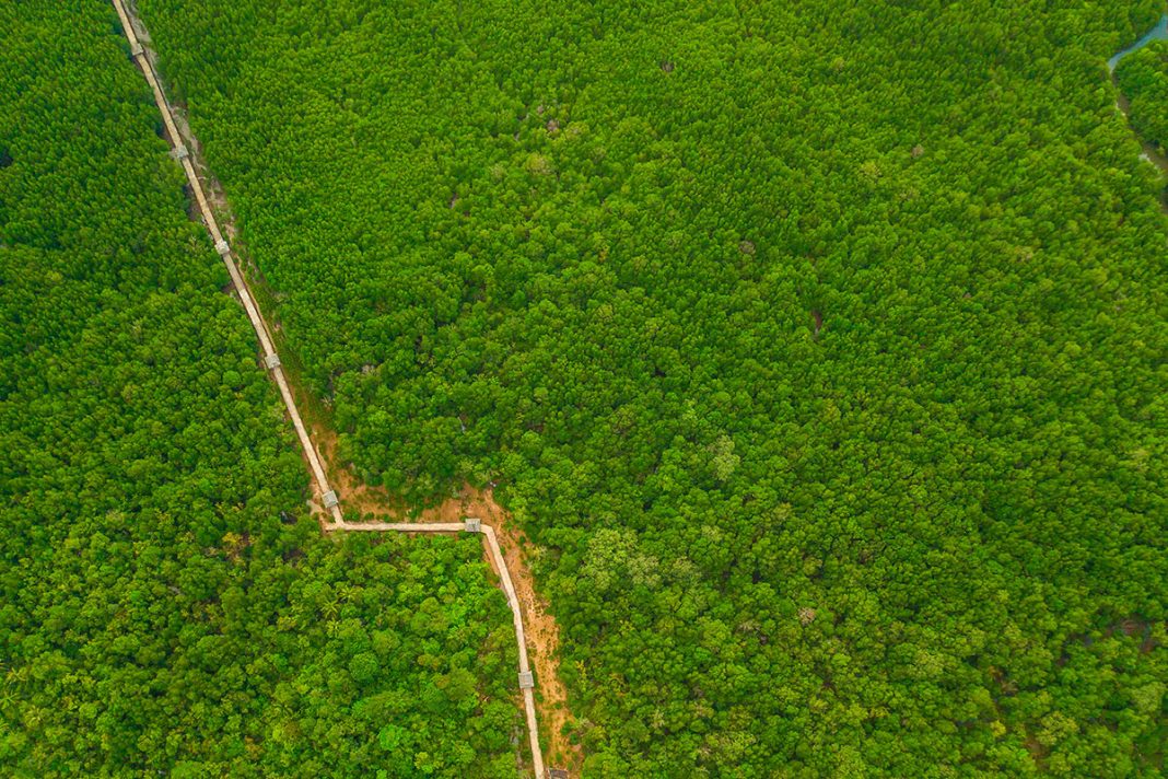 Guyana's olieboom: kansen en uitdagingen voor een opkomende energiegigant